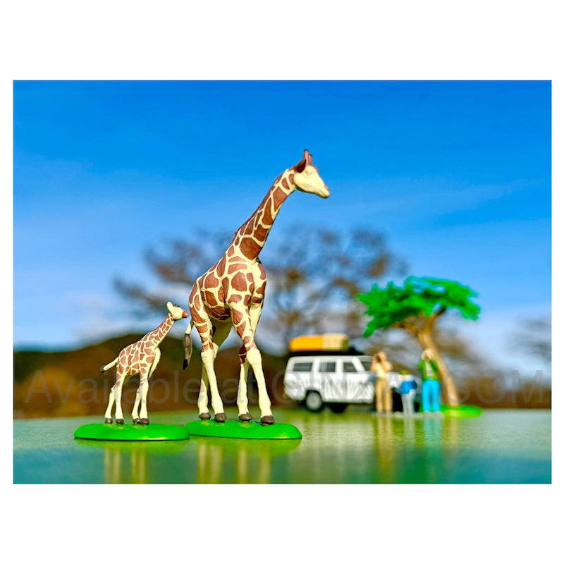 Kaiyodo × Tomica Limited Vintage GeoColle64 #Car Snap 28a Safari 1 (with Toyota Land Cruiser FJ56V)