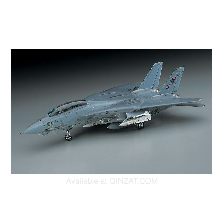 Hasegawa 1/72 F-14A Tomcat (Low Visibility)